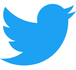 twitter icon